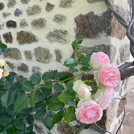 בית נופש Le Petit Ronsard