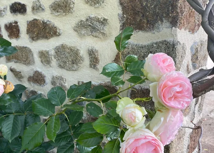 Nyaraló Le Petit Ronsard