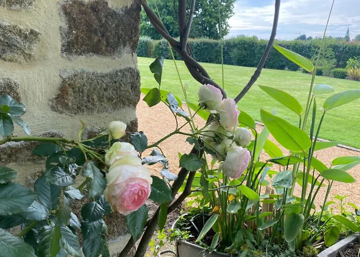 Nyaraló Le Petit Ronsard Flers